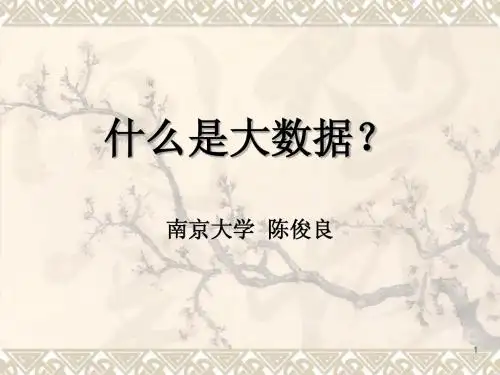 什么是大数据？
