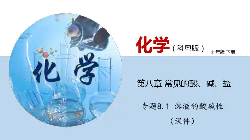 溶液的酸碱性(课件)九年级化学下册(科粤版)