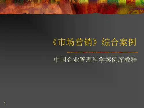市场营销案例分析PPT课件