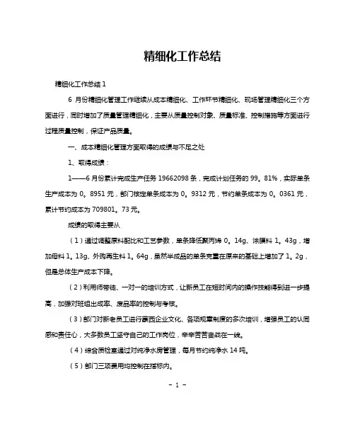 精细化工作总结