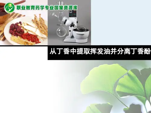 7.2案例从丁香中提取挥发油并分离丁香酚(精)