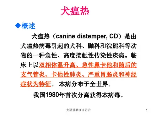 犬猫重要疫病防治课件
