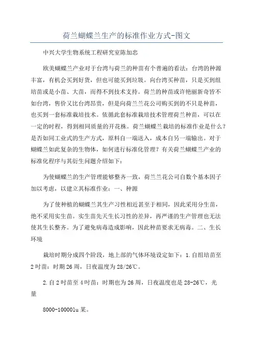 荷兰蝴蝶兰生产的标准作业方式-图文