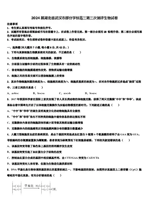 2024届湖北省武汉市部分学校高三第三次测评生物试卷含解析