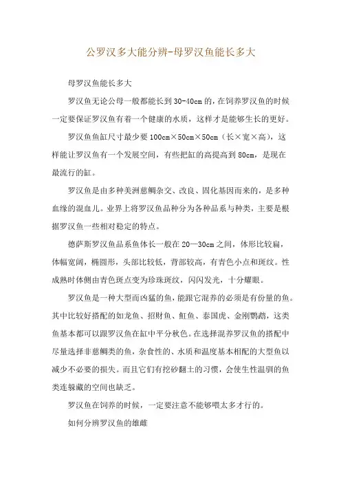 公罗汉多大能分辨-母罗汉鱼能长多大