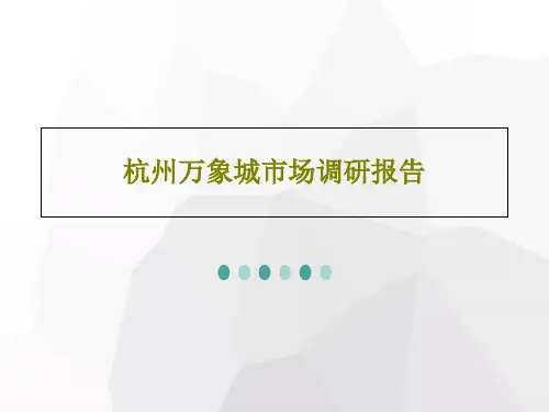 杭州万象城市场调研报告共53页文档
