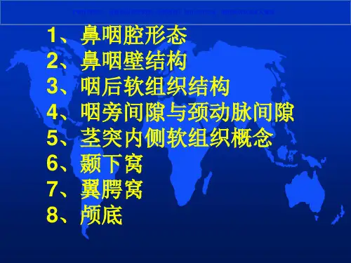 鼻咽部CT和MRI表现课件