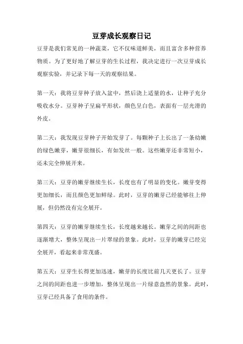 豆芽成长观察日记