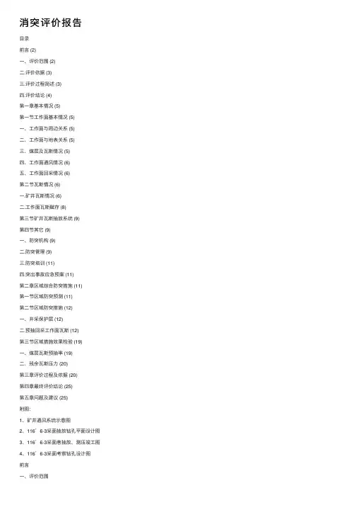 消突评价报告