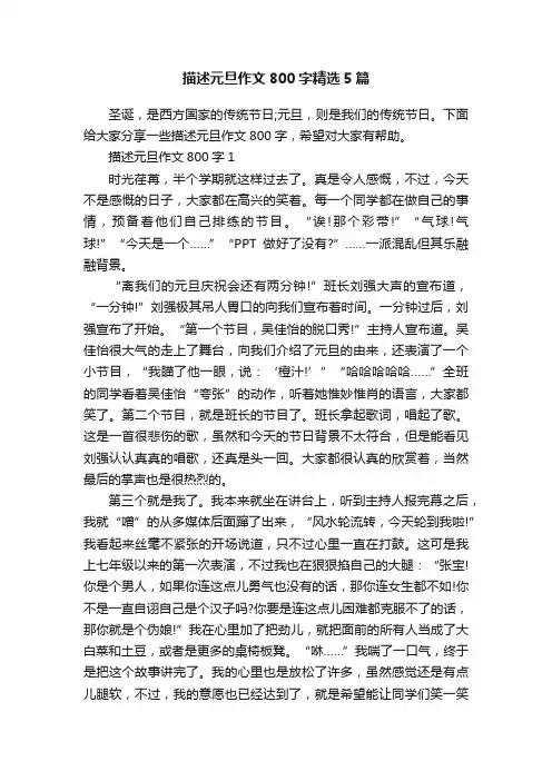 描述元旦作文800字精选5篇