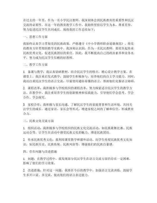 小学民汉教师工作总结