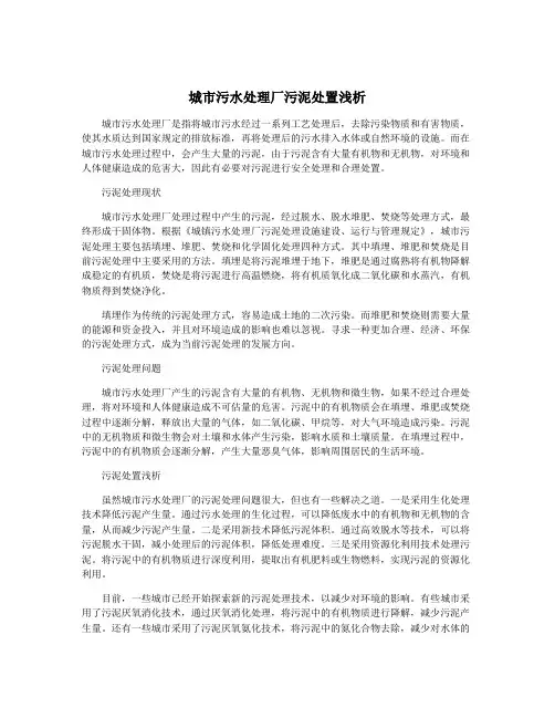 城市污水处理厂污泥处置浅析