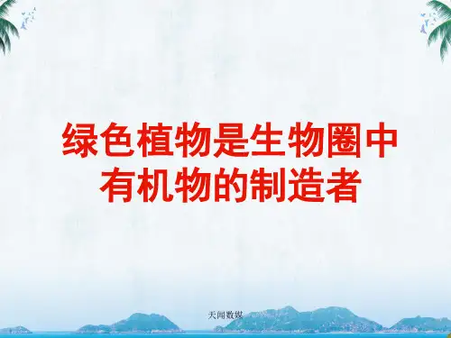 人教版七年级生物《绿色植物是生物圈中有机物的制造者》教学课件