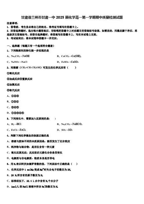 甘肃省兰州市甘肃一中2025届化学高一第一学期期中质量检测试题含解析