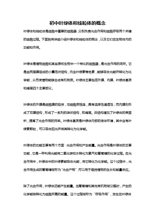 初中叶绿体和线粒体的概念