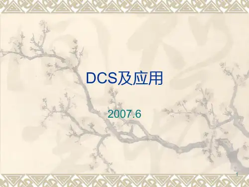 DCS及应用PPT课件