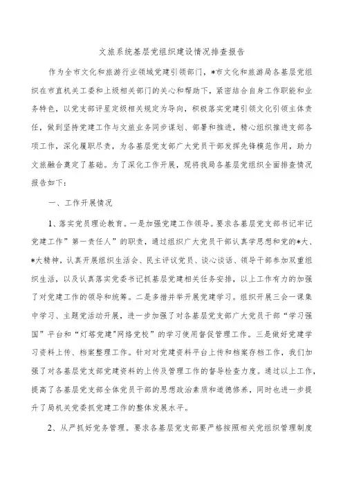 文旅系统基层党组织建设情况排查报告