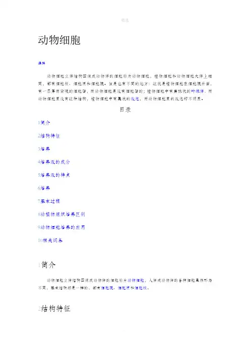 动物细胞基本结构