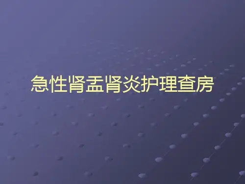 急性肾盂肾炎护理查房--