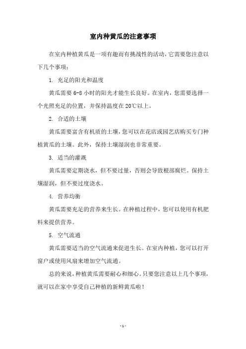 室内种黄瓜的注意事项