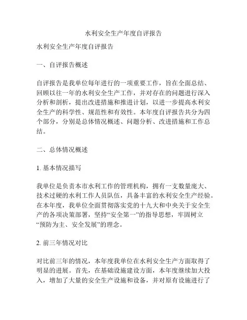 水利安全生产年度自评报告