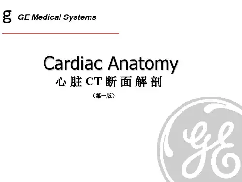 CT心脏断面解剖