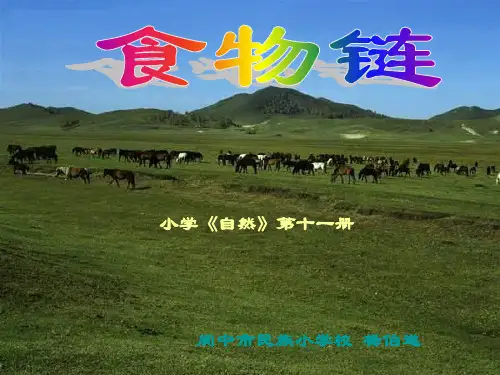 小学科学食物链
