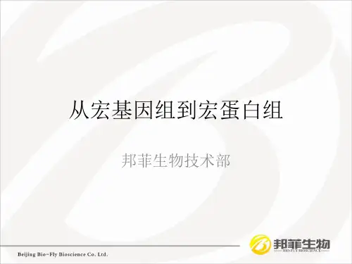 宏基因组和宏蛋白组-精品文档