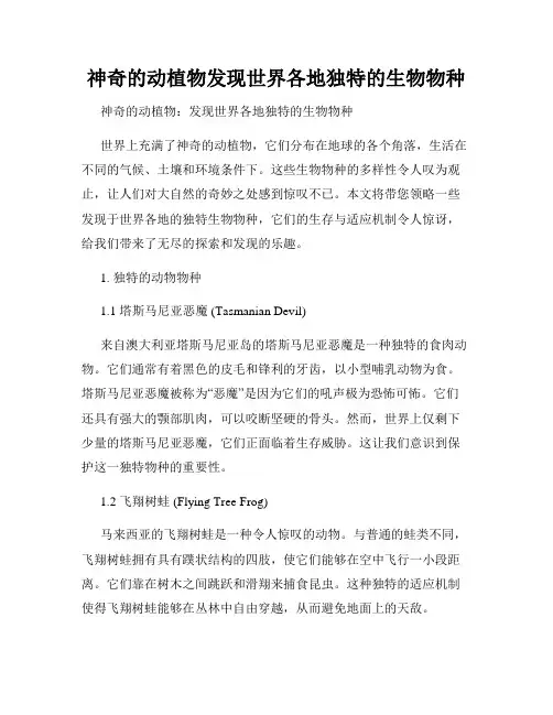 神奇的动植物发现世界各地独特的生物物种