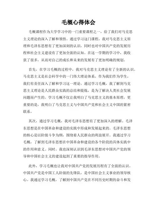 毛概心得体会