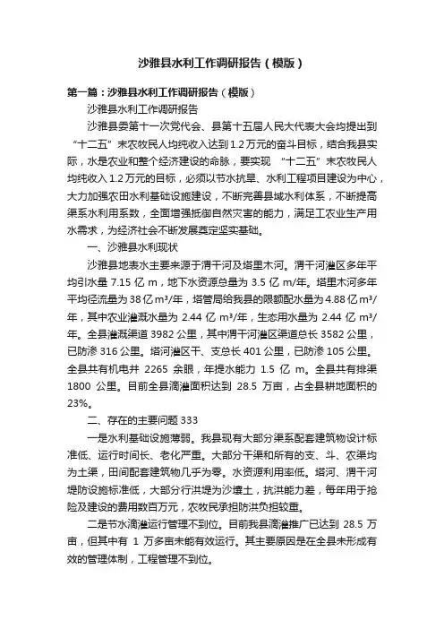 沙雅县水利工作调研报告（模版）