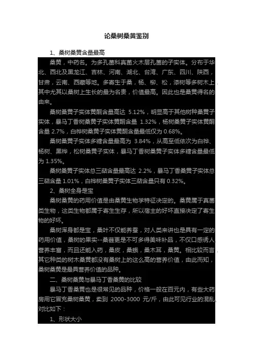论桑树桑黄鉴别
