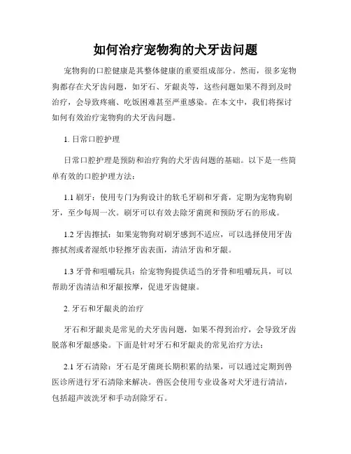 如何治疗宠物狗的犬牙齿问题