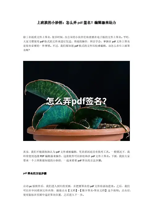 上班族的小妙招：怎么弄pdf签名？编辑器来助力