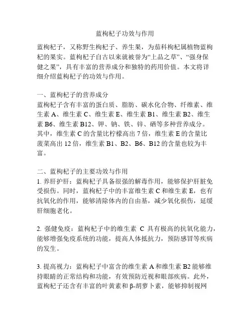 蓝枸杞子功效与作用