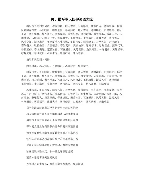 关于描写冬天四字词语大全