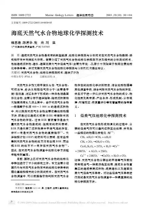 海底天然气水合物地球化学探测技术