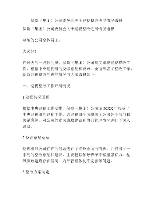 保险(集团)公司委员会关于巡视整改进展情况通报