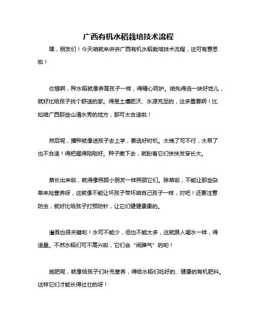 广西有机水稻栽培技术流程