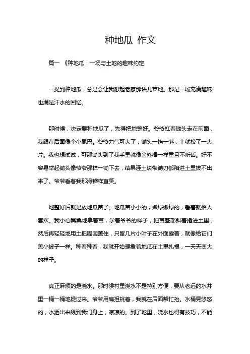 种地瓜 作文