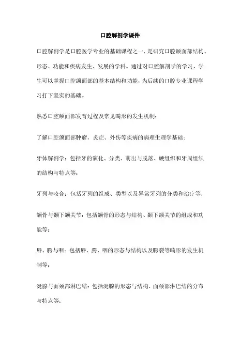 口腔解剖学课件