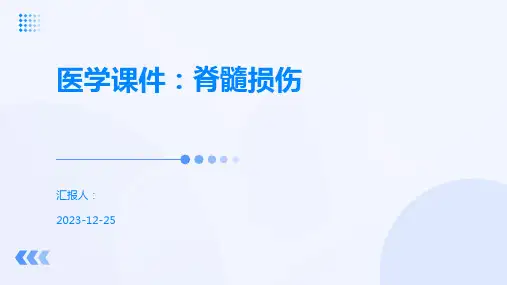 医学课件：脊髓损伤