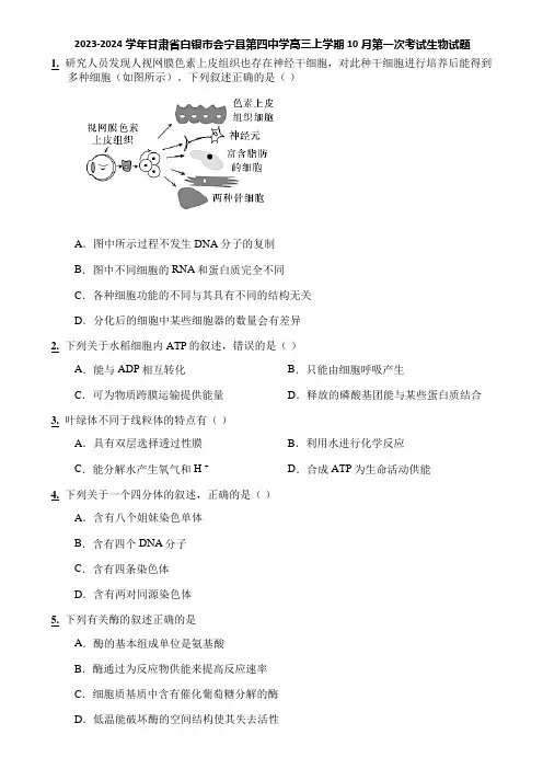 2023-2024学年甘肃省白银市会宁县第四中学高三上学期10月第一次考试生物试题