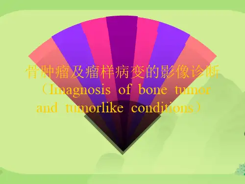 骨肿瘤及瘤样病变的影像诊断
