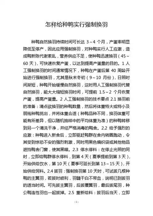 怎样给种鸭实行强制换羽