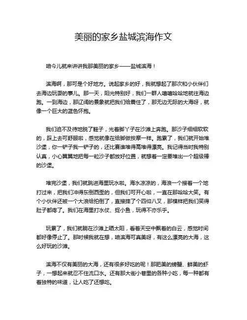 美丽的家乡盐城滨海作文
