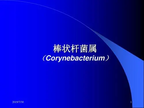 棒状杆菌ppt课件