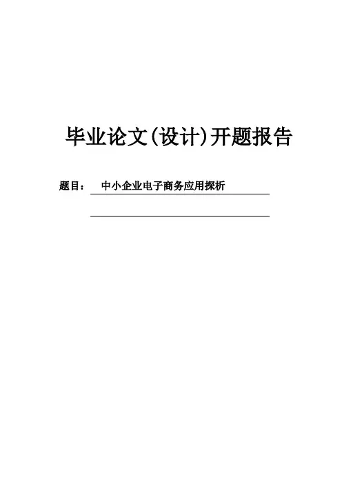 中小企业电子商务应用探析开题报告