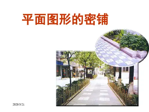 五年级上数学课件-密铺_北京版