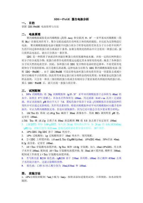 SDS-PAGE-蛋白电泳分析